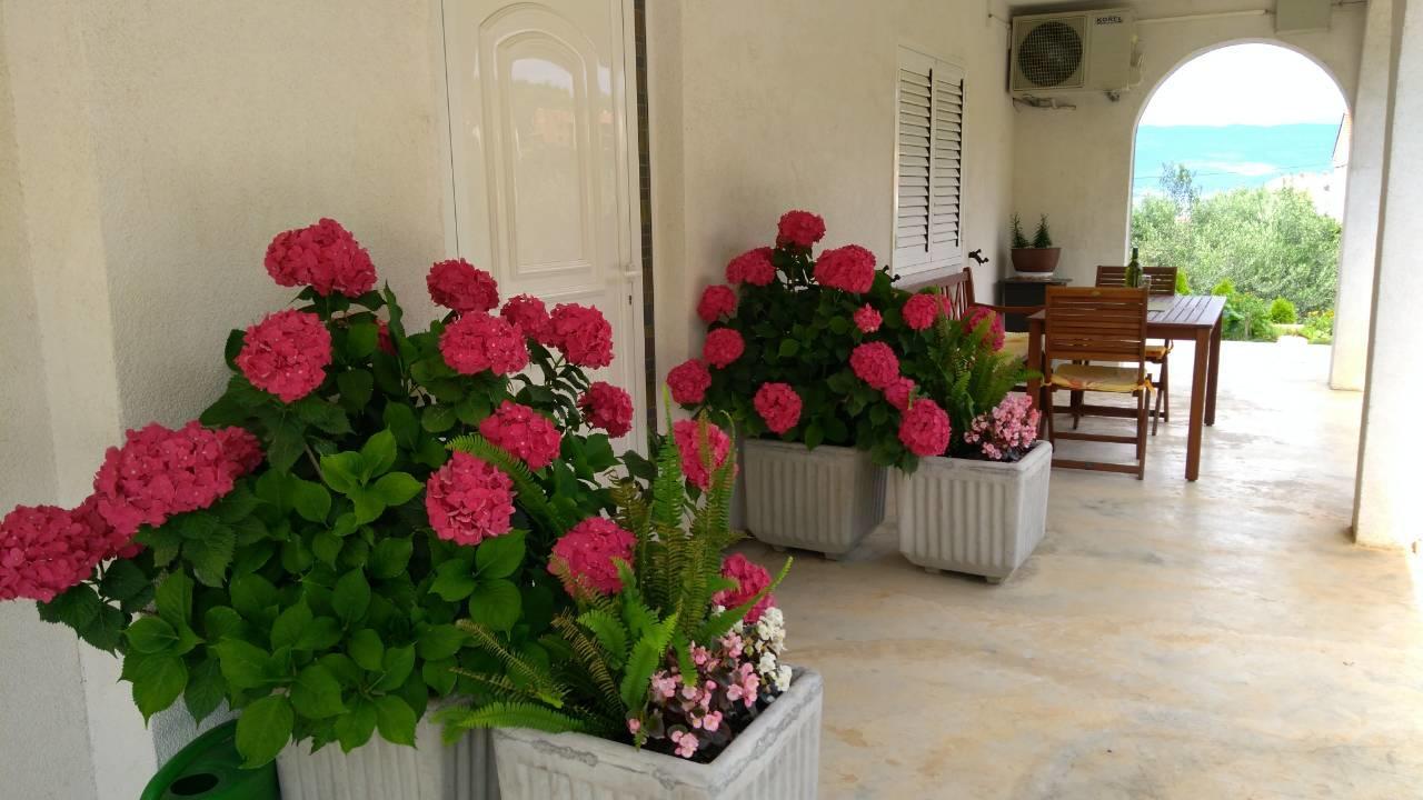 Megi1 Apartman Vrbnik Kültér fotó